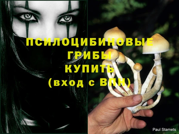 марки lsd Арсеньев