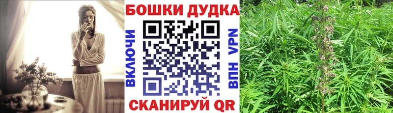 Бошки марихуана Ganja Сальск